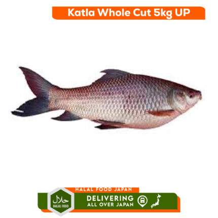 Katla Whole Cut 4 kg Up